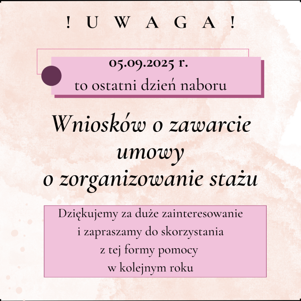staże